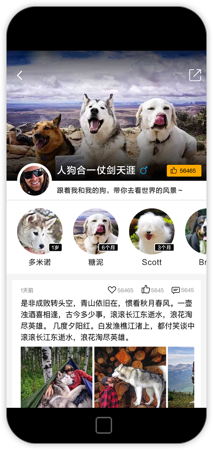 烟台宠物APP