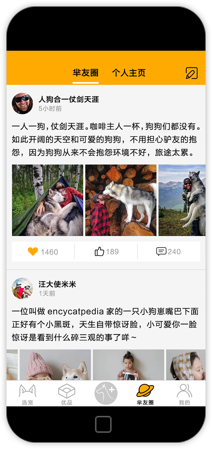 烟台宠物APP