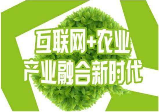 烟台农业电商app开发方案