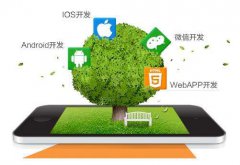 烟台APP开发公司哪家好【新睿网络】？
