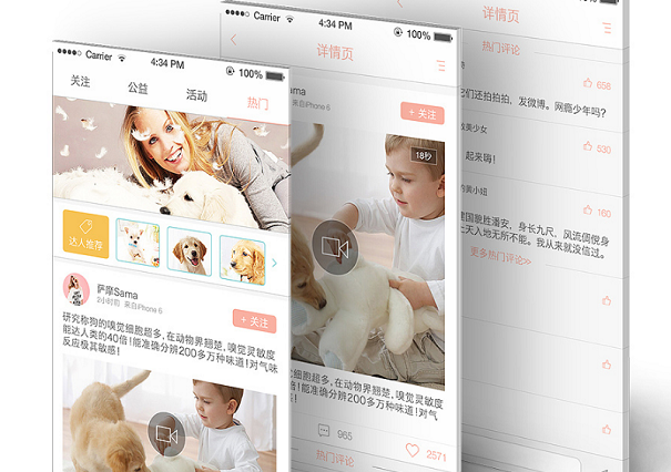 烟台宠物交易app开发方案与周期