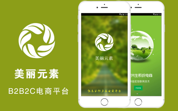 美丽元素app