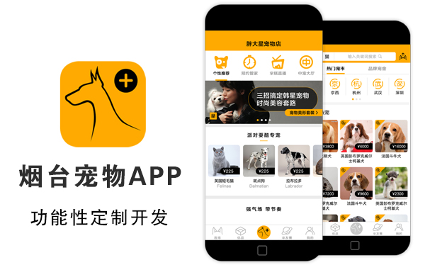 烟台宠物APP